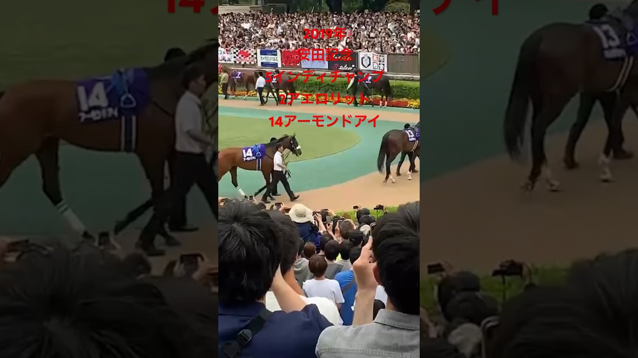 2019年安田記念パドック　1着インディチャンプ2着アエロリット3着アーモンドアイ　ダノンプレミアム大出遅れ　#安田記念　#パドック