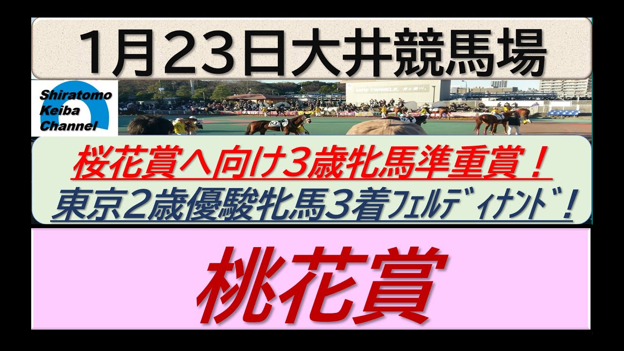 【競馬予想】準重賞 桃花賞！～２０２４年１月２３日 大井競馬場 ：１－４７