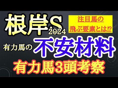 【根岸ステークス2024】有力馬考察！エンペラーワケアやタガノビューティー、サンライズフレイムらの不安材料は何なのか？1頭ずつ考察！