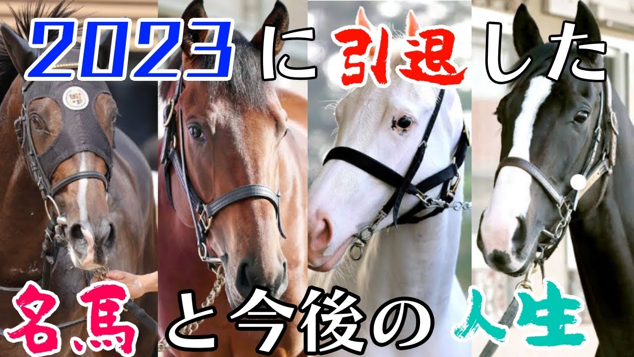 【２０２３年に引退した名馬の今後の人生】２０２４年の勢力図が大きく変わる！感動をくれたG1馬２０頭以上が引退( ；∀；)