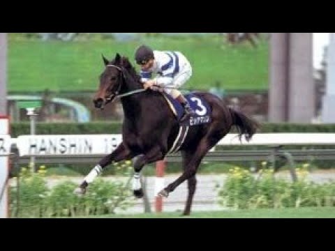 第45回　阪神３歳牝馬ステークス （ＧⅠ）　ヒシアマゾン　牝２　53　中舘英二　1993.12.5　出走馬：ローブモンタント、ケイアイメロディー、ツルマルガール、エイシンバーモント、タックスヘイブン他