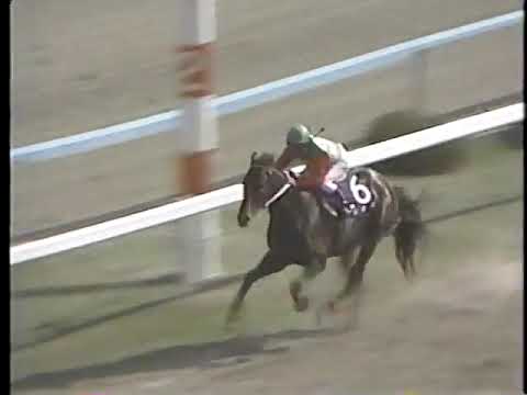 1987 天皇賞春 ミホシンザン