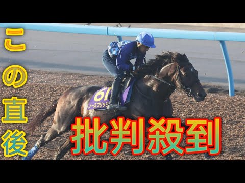 天皇賞・秋10着ノースブリッジがカタールG1選出　岩田康とコンビ継続で遠征[SNOWMAN-NEWS]