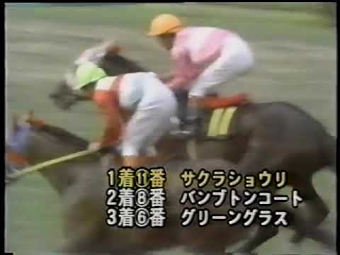 1979 宝塚記念 サクラショウリ