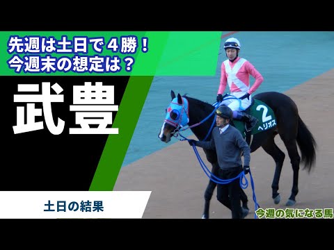 【武豊】先週の振り返り 土日で4勝！今週末の想定は？
