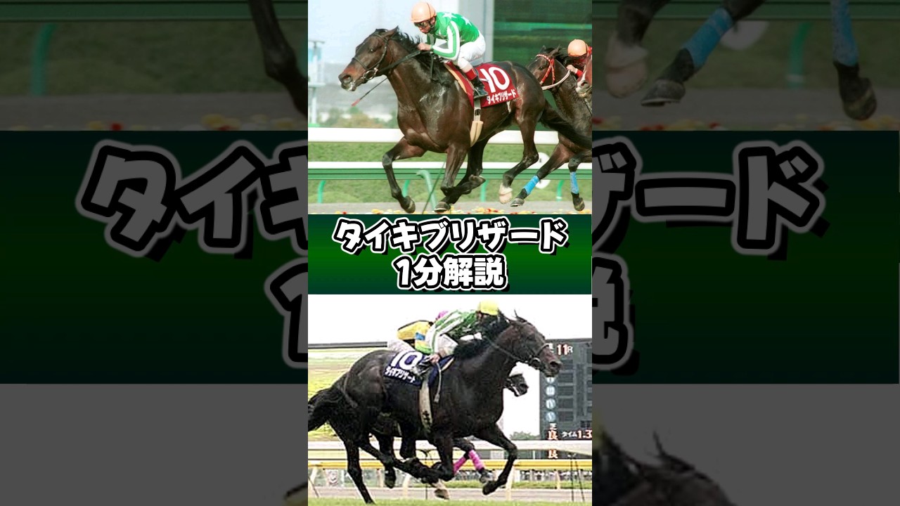 夢を追い求める姿勢は忘れたくないが、ロマンに溺れることはしたくない #タイキブリザード #shorts