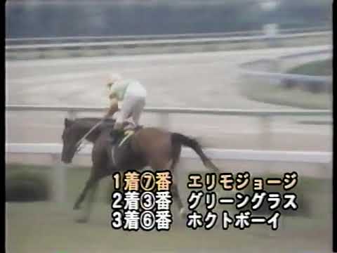 1978 宝塚記念 エリモジョージ