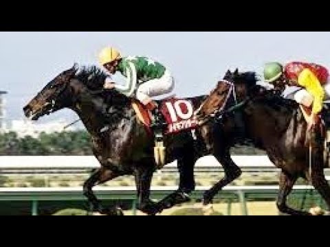 第４０回　産経大阪杯 （ＧⅡ）　タイキブリザード　牡５　57　岡部幸雄　1996.3.31　　出走馬：インターユニーク、アラタマワンダー、ダンスパートナー、サマーサスピション、ネーハイシーザー他