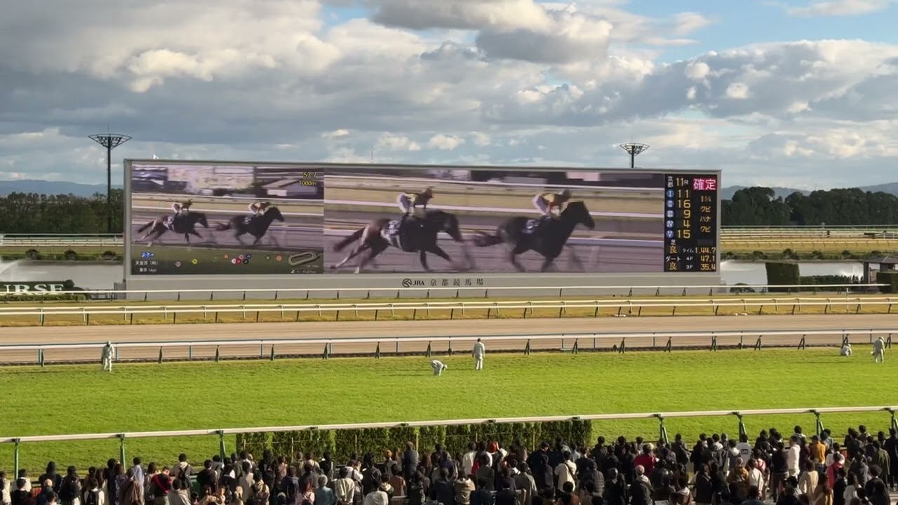 第168回 天皇賞(秋)(G I) 2023年10月29日 - 京都競馬場からの観戦映像
