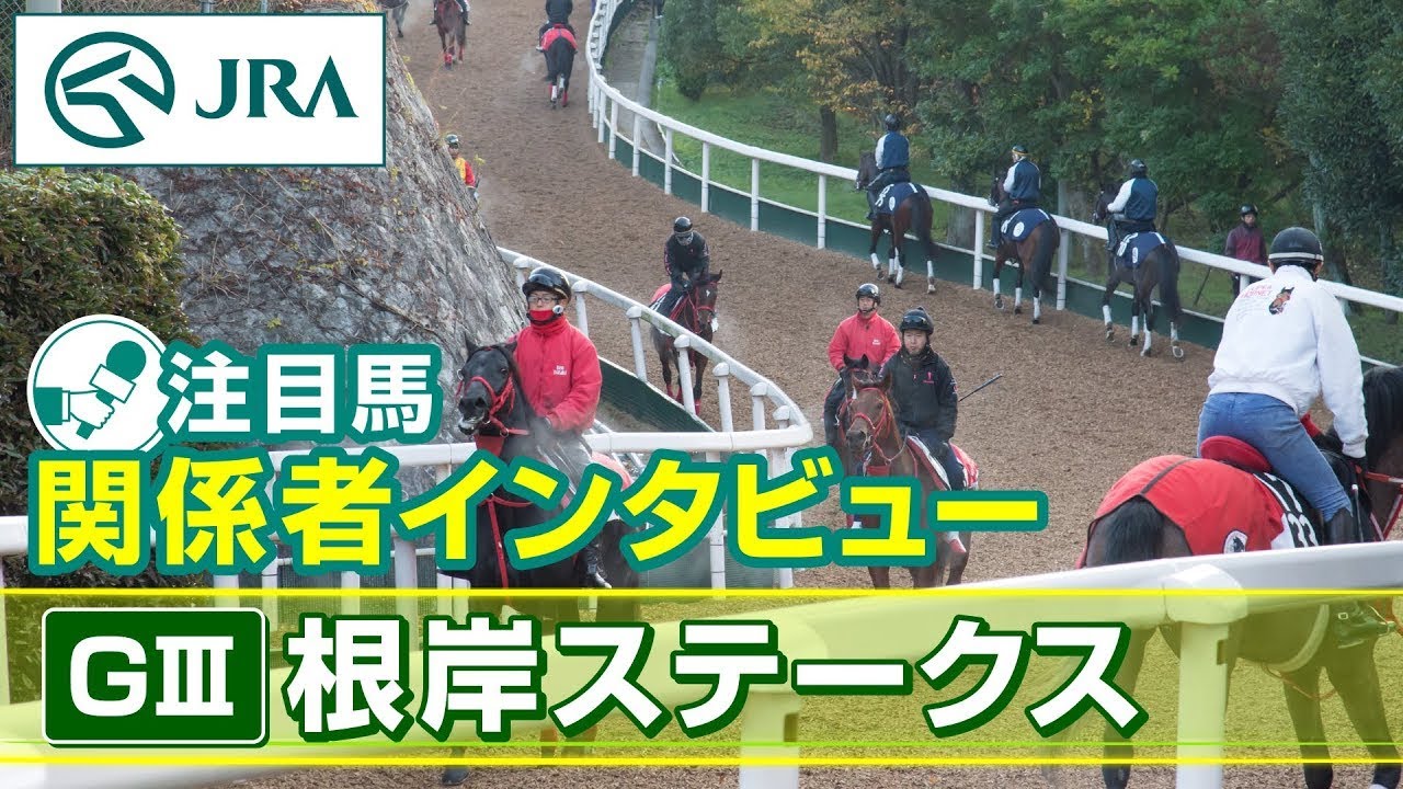 【注目馬 関係者インタビュー】2024年 根岸ステークス｜JRA公式