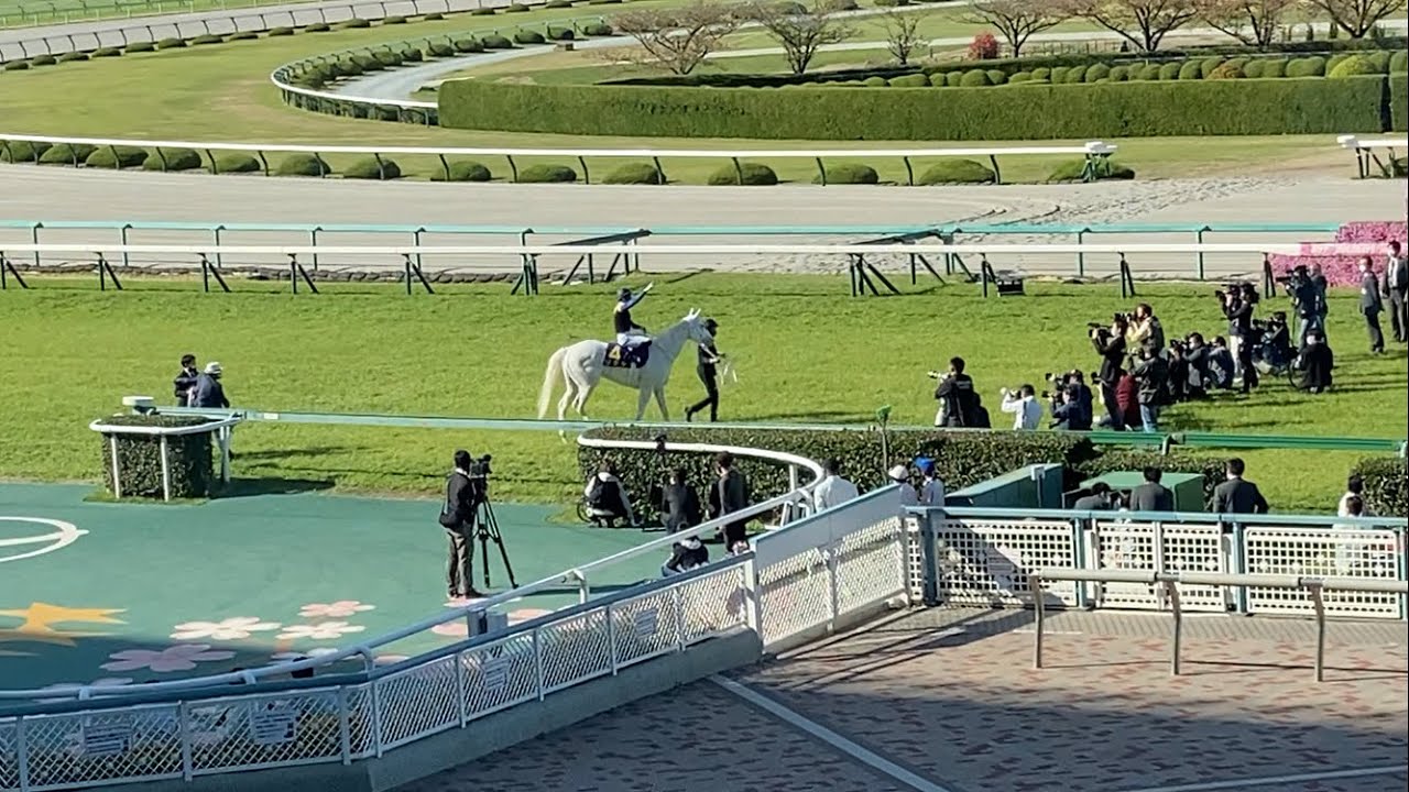 2021年 桜花賞 レース後に引き上げるまでのソダシ