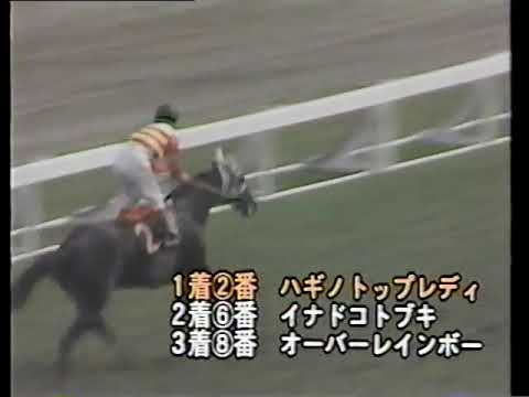 1981 高松宮杯 ハギノトップレディ