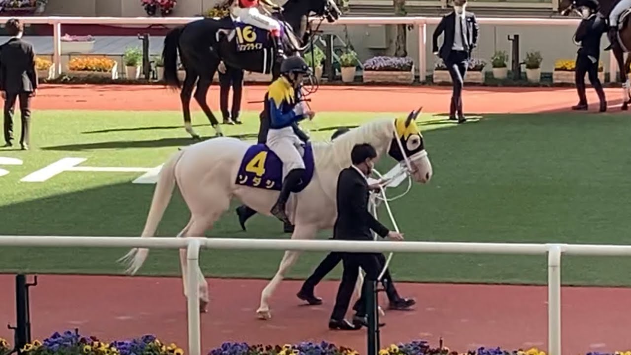 2021年 桜花賞 パドック
