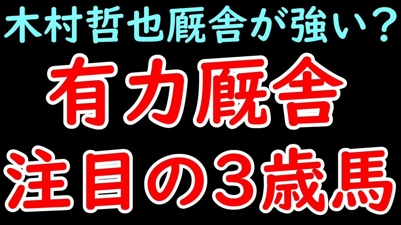 有力厩舎 注目の3歳馬！レガレイラ＆チェルヴィニアがいる木村哲也厩舎が強いか！？