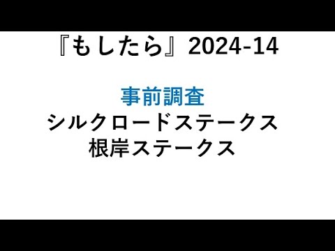 『もしたら』事前調査【シルクロードステークス🐴根岸ステークス】2024-14