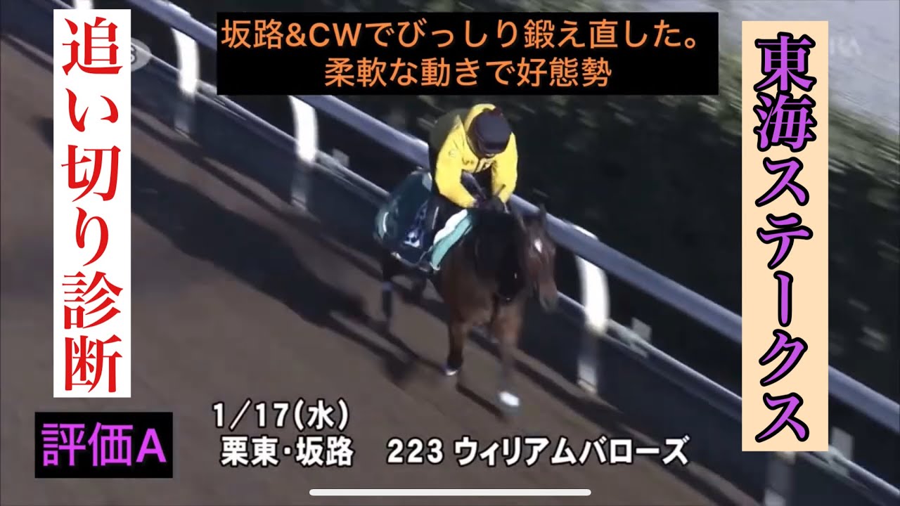 東海ステークス2024【3連単予想】