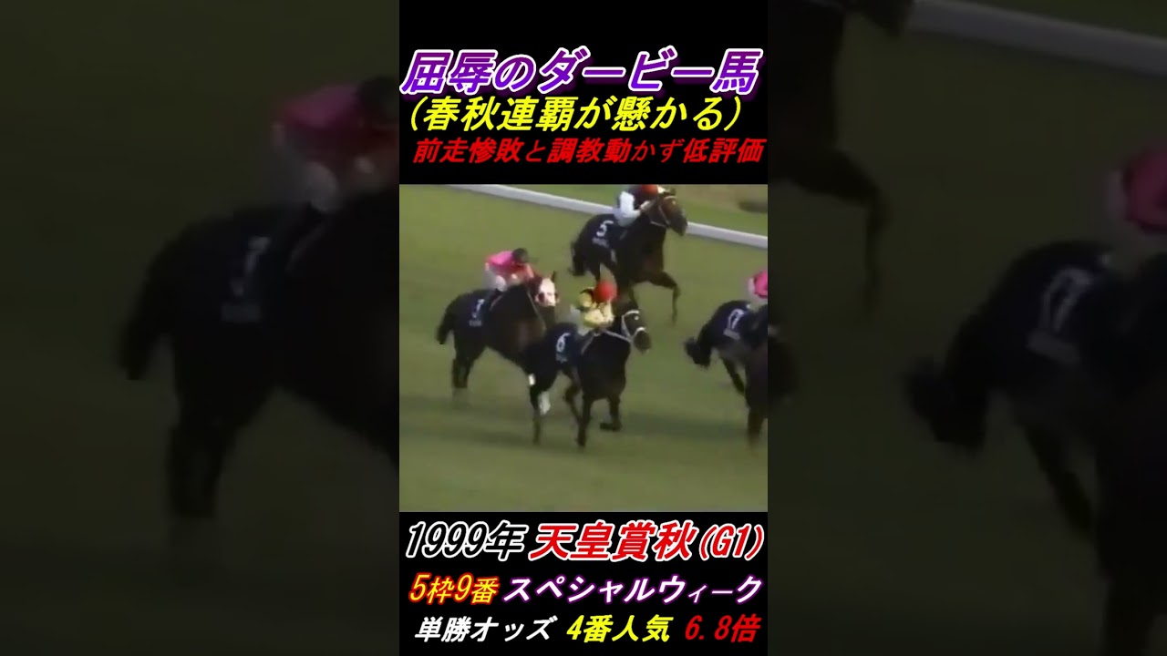 【ダービー馬に屈辱の実況！】｢なんと！スペシャルウィーク｣ 天皇賞秋(G1･1999年) スペシャルウィーク号(武豊騎手) #スペシャルウィーク #天皇賞秋 #武豊