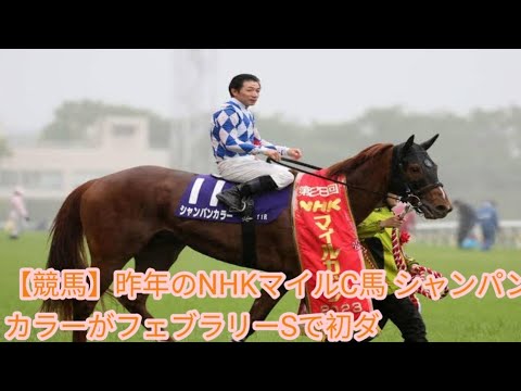 【競馬】昨年のNHKマイルC馬 シャンパンカラーがフェブラリーSで初ダート挑戦が話題に！【競馬の反応集】