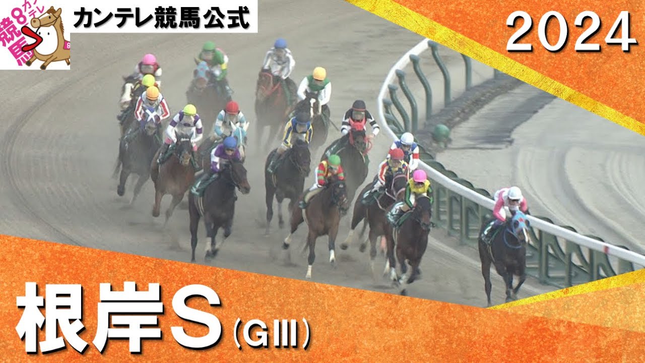 2024年 根岸ステークス(ＧⅢ) 【カンテレ公式】