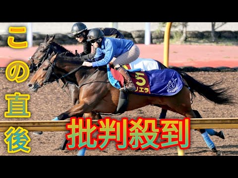 エリザベス女王杯6着の良血サリエラはダイヤモンドS視野　ドバイGC予備登録済み[japanese sports]