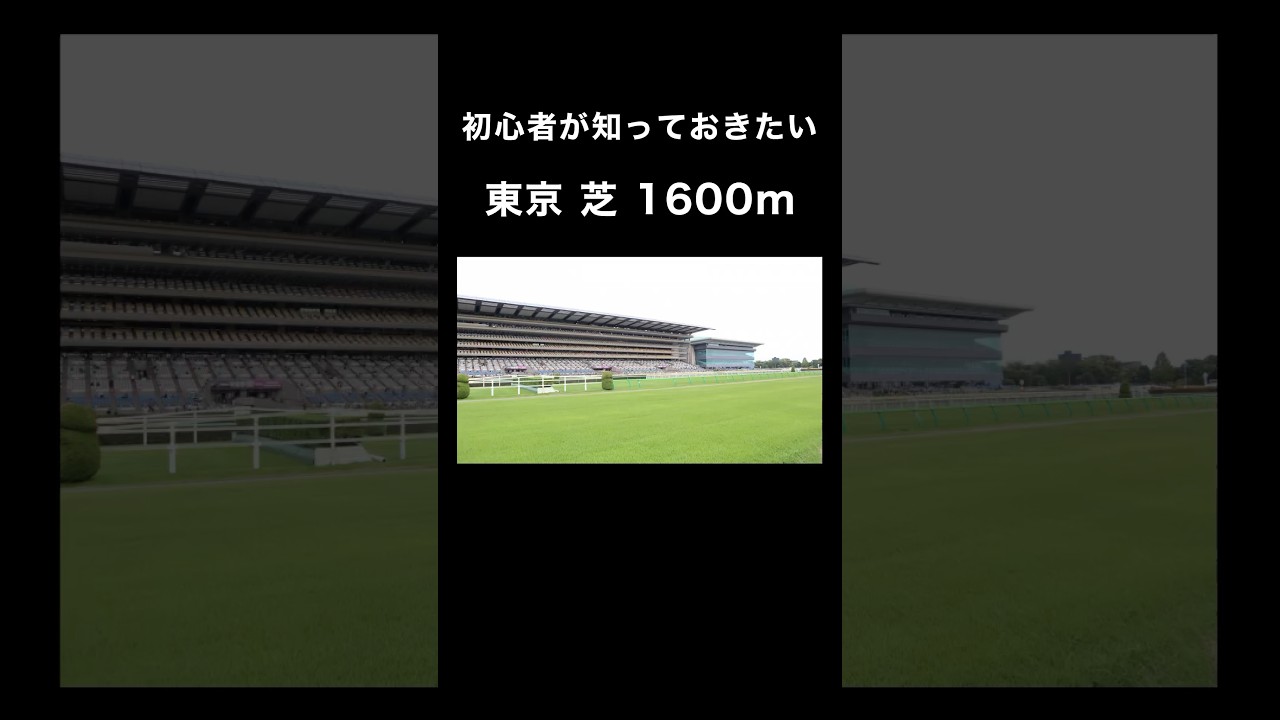 初心者が知っておきたい東京芝1600m #競馬 #東京競馬場 #shorts
