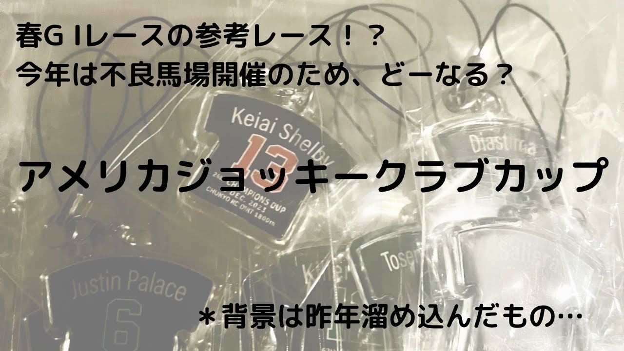 動画（AJCC） 振り返り