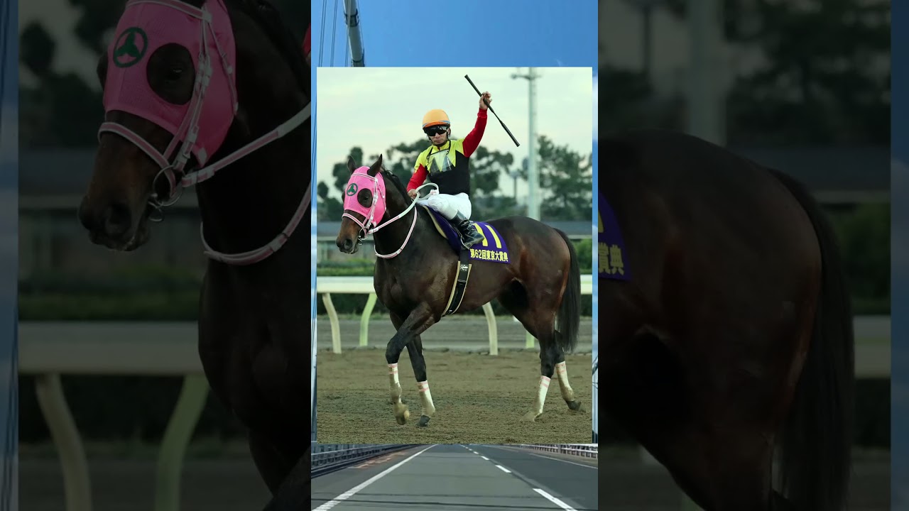 馬体重がメチャクチャ重かった馬達＃Shorts