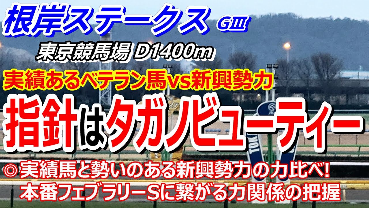 【根岸S2024】予習動画 実績馬vs新興勢力