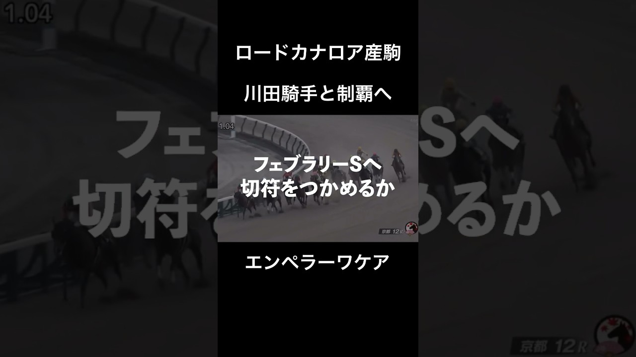 【エンペラーワケア】ロードカナロア産駒川田と共にフェブラリーステークスへの切符をつかめるか#競馬 #フェブラリーステークス #エンペラーワケア#川田将雅