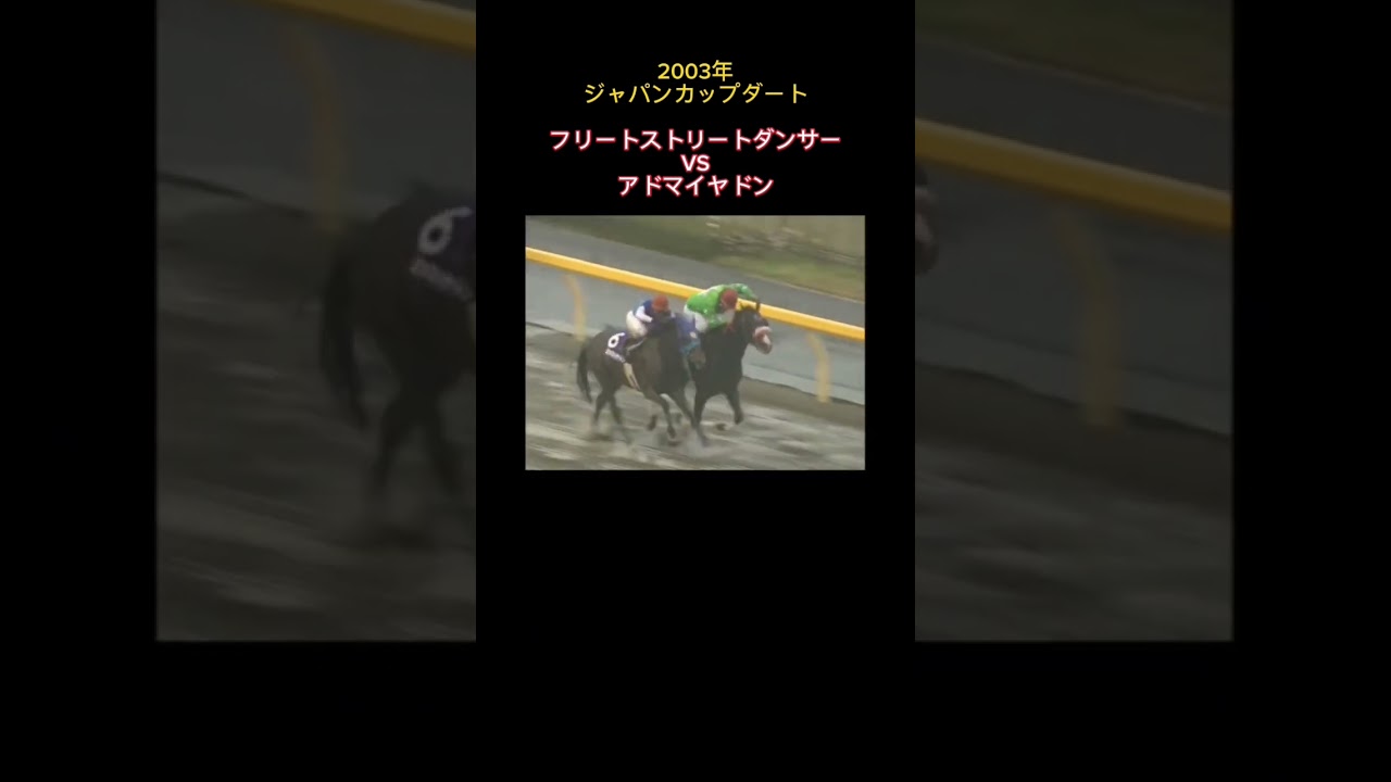 2003年ジャパンカップダート #競馬#ジャパンカップ#武豊#安藤勝己#馬#ダート #G1#名実況#アドマイヤドン