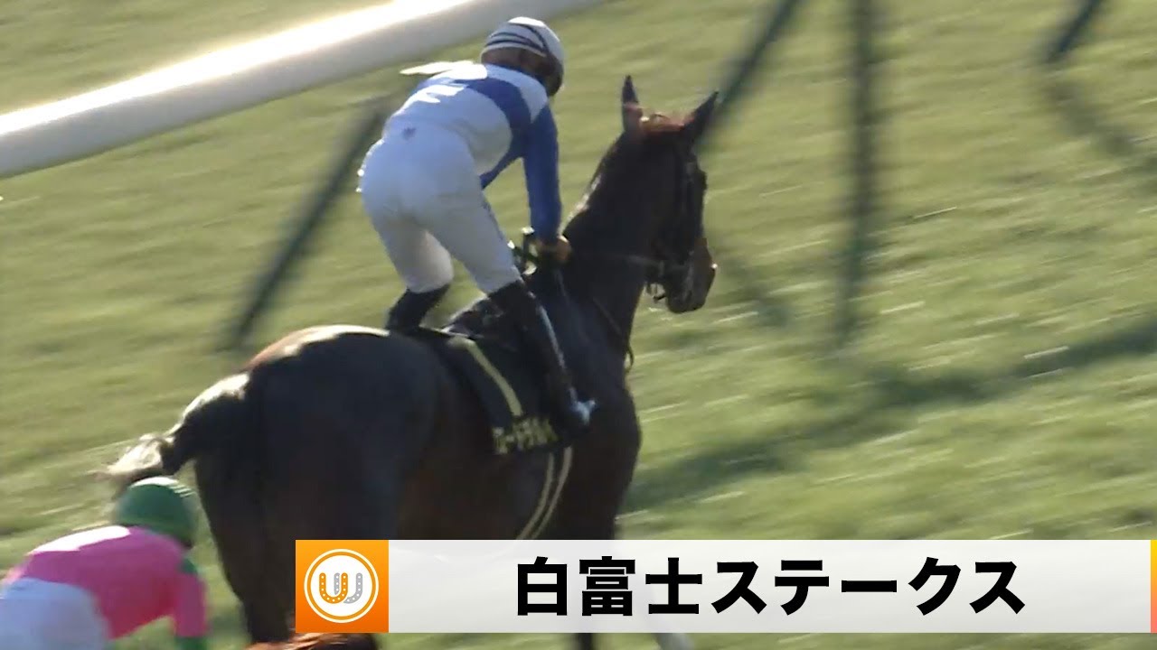 【2024】白富士ステークス 中山競馬場11R ｜ウイニング競馬 2024年1月27日（土）
