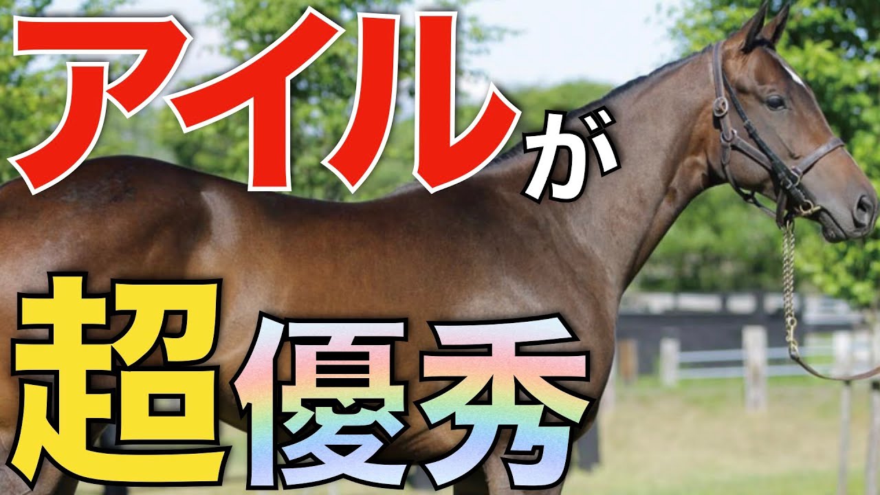 種牡馬ミッキーアイルは特徴を捉えれば超優秀！これで150万円は安すぎる。