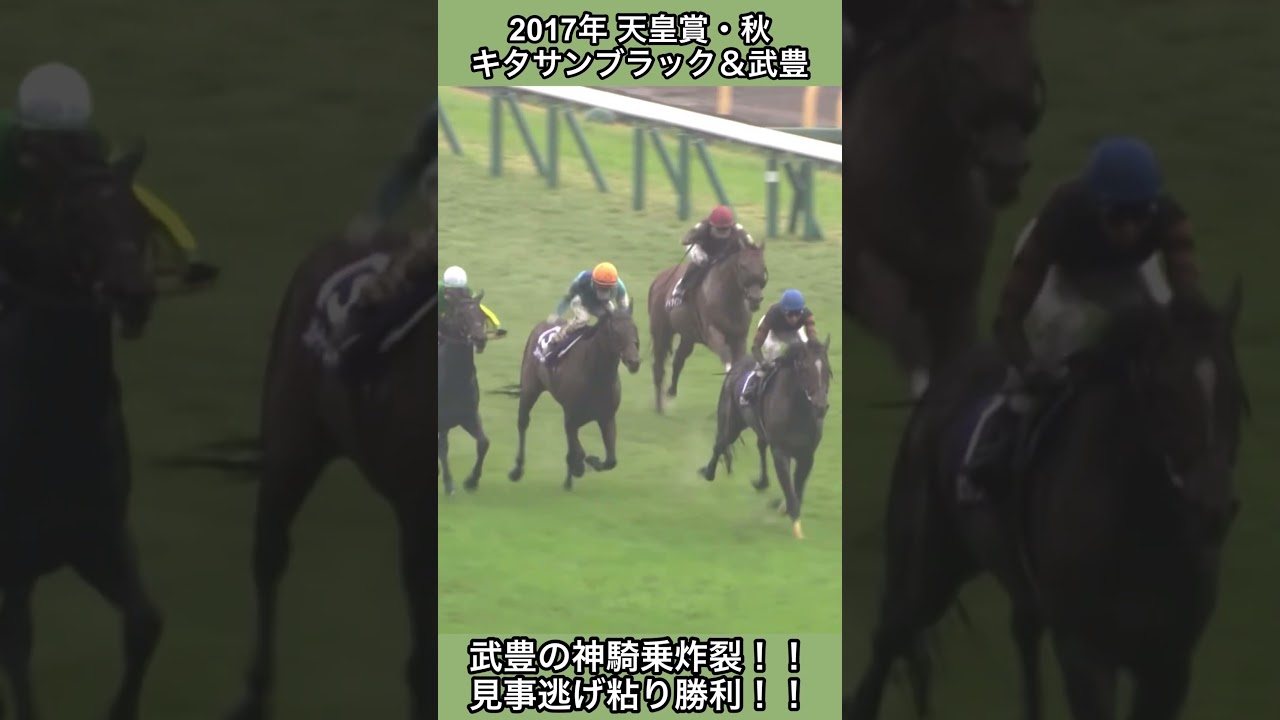 【競馬】キタサンブラック 大雨の中、出遅れから最内選択！！「心配無用！これが現役最強です！」【天皇賞・秋】 #shorts  #競馬 #キタサンブラック #天皇賞秋