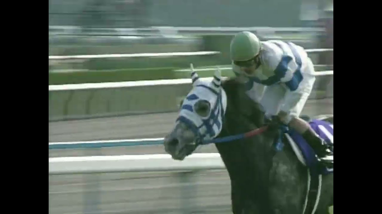 ヒシミラクル 2003年 第127回天皇賞(春)(GI) (優勝馬：ヒシミラクル)