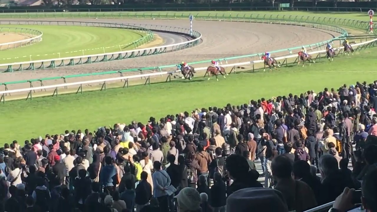 2019年中山グランドジャンプ　オジュウチョウサン