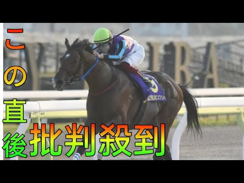 ＮＡＲ年度代表馬、hina hayata 兵庫のイグナイターがフェブラリーＳに参戦