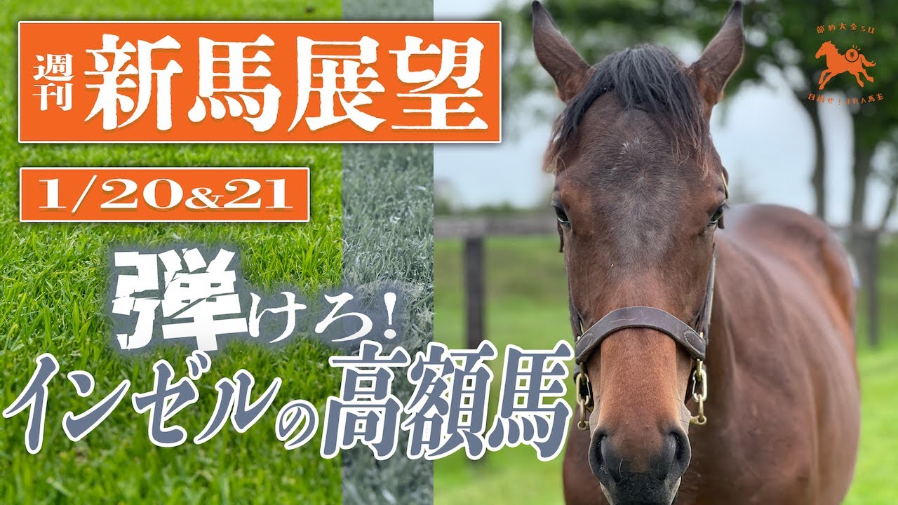 【一口馬主デビュー馬紹介1/20＆21】インゼル超高額馬ローリーグローリーに注目！【節約大全】vol.1206