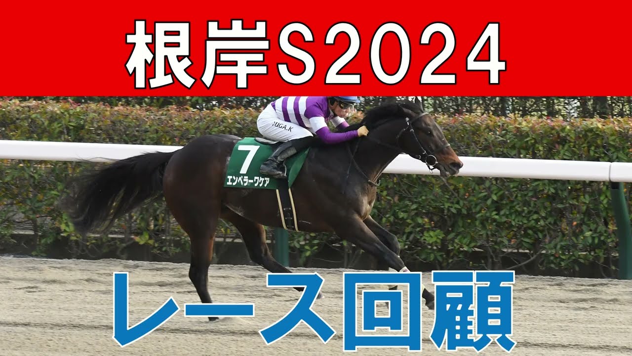 根岸S レース回顧  2024　エンペラーワケアはフェブラリーSで通用するか？　次走見直し可能な馬