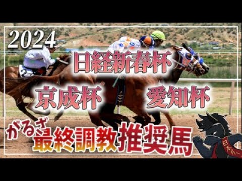 【2024年日経新春杯（GⅡ）とその他のレース】最終調教推奨馬＆がるざ調教推奨・No. 1