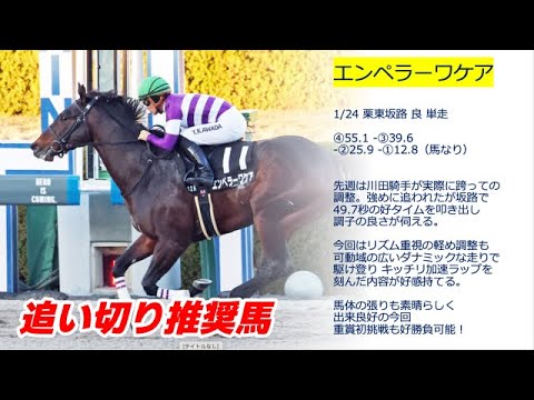 根岸ステークス2024予想【ペリエール相手に好走した絶対 買いの１頭】先週2重賞W的中 達成！