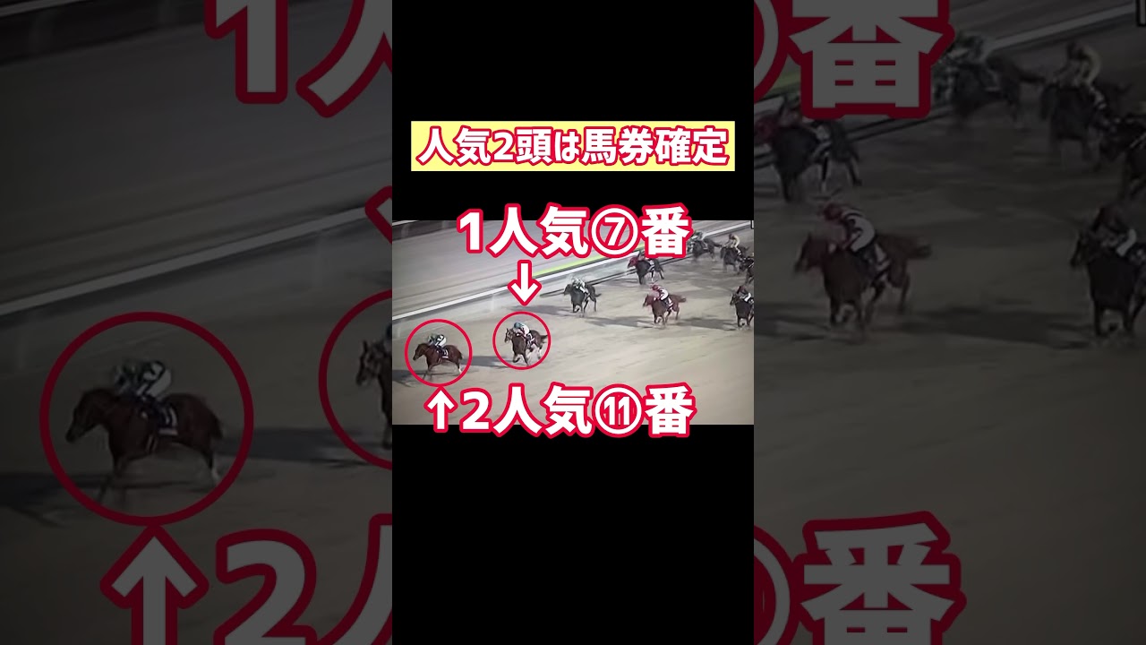 【2023大晦日！大井10R】10人気🎯④番1頭軸3連複🎯#shorts #競馬予想 #東京2歳優駿牝馬