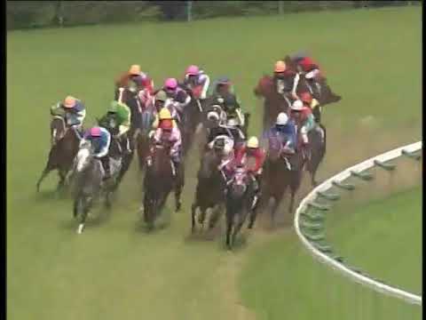 ２００２年　第５２回　安田記念　アドマイヤコジーン