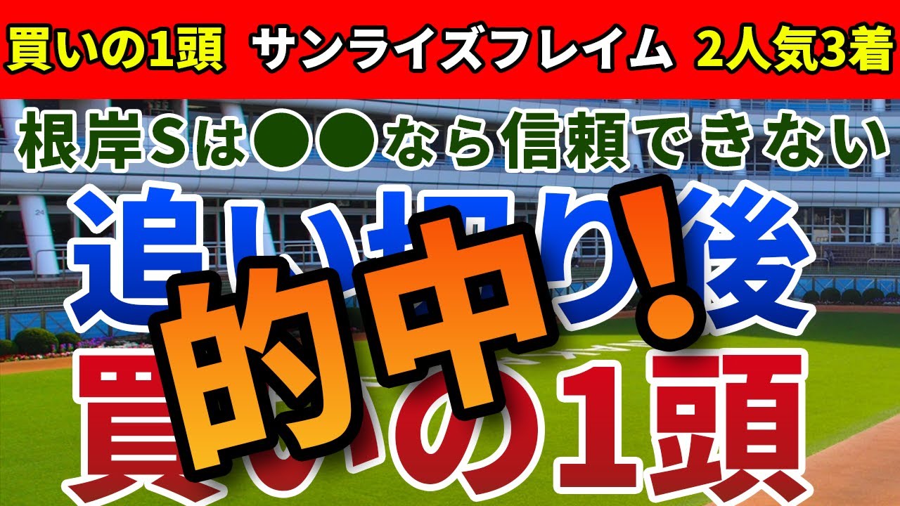 根岸ステークス2024 追い切り後【買いの1頭】公開！大箱・長い直線・冬場の馬場に注目！この舞台だからこそ狙うべき1頭は？