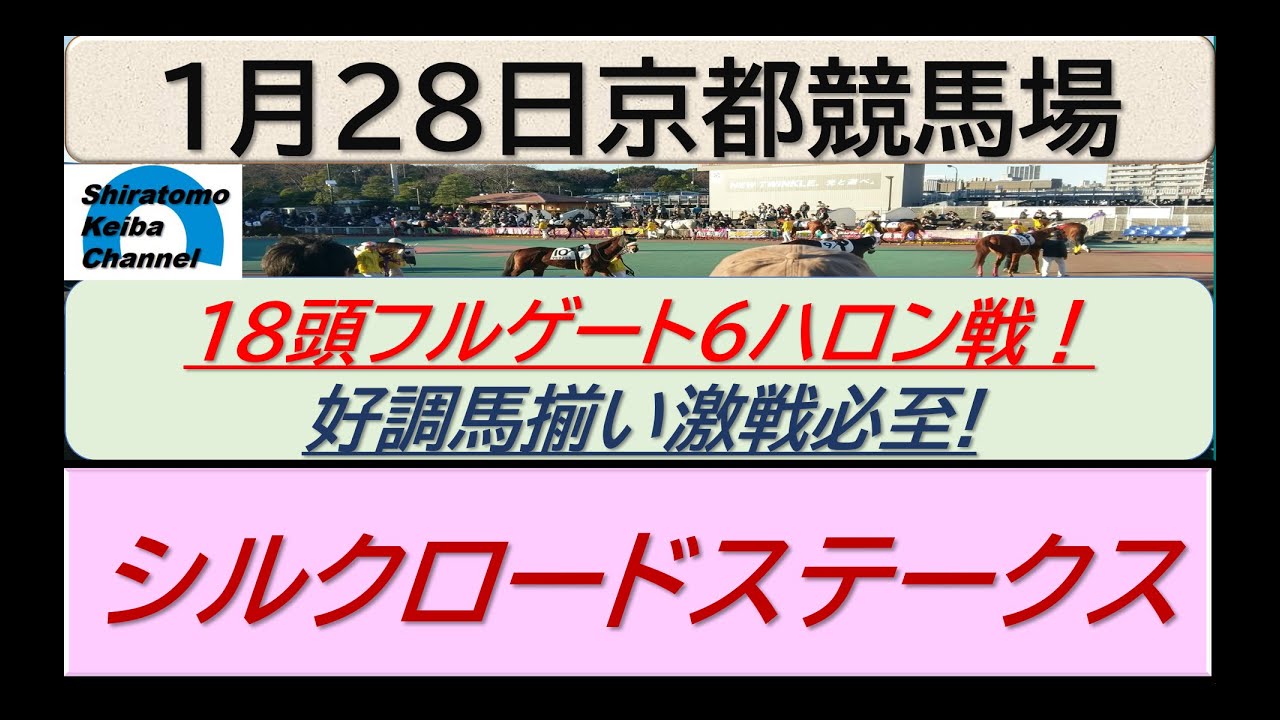 【競馬予想】GⅢシルクロードステークス！～２０２４年１月２８日 京都競馬場 ：１－５６
