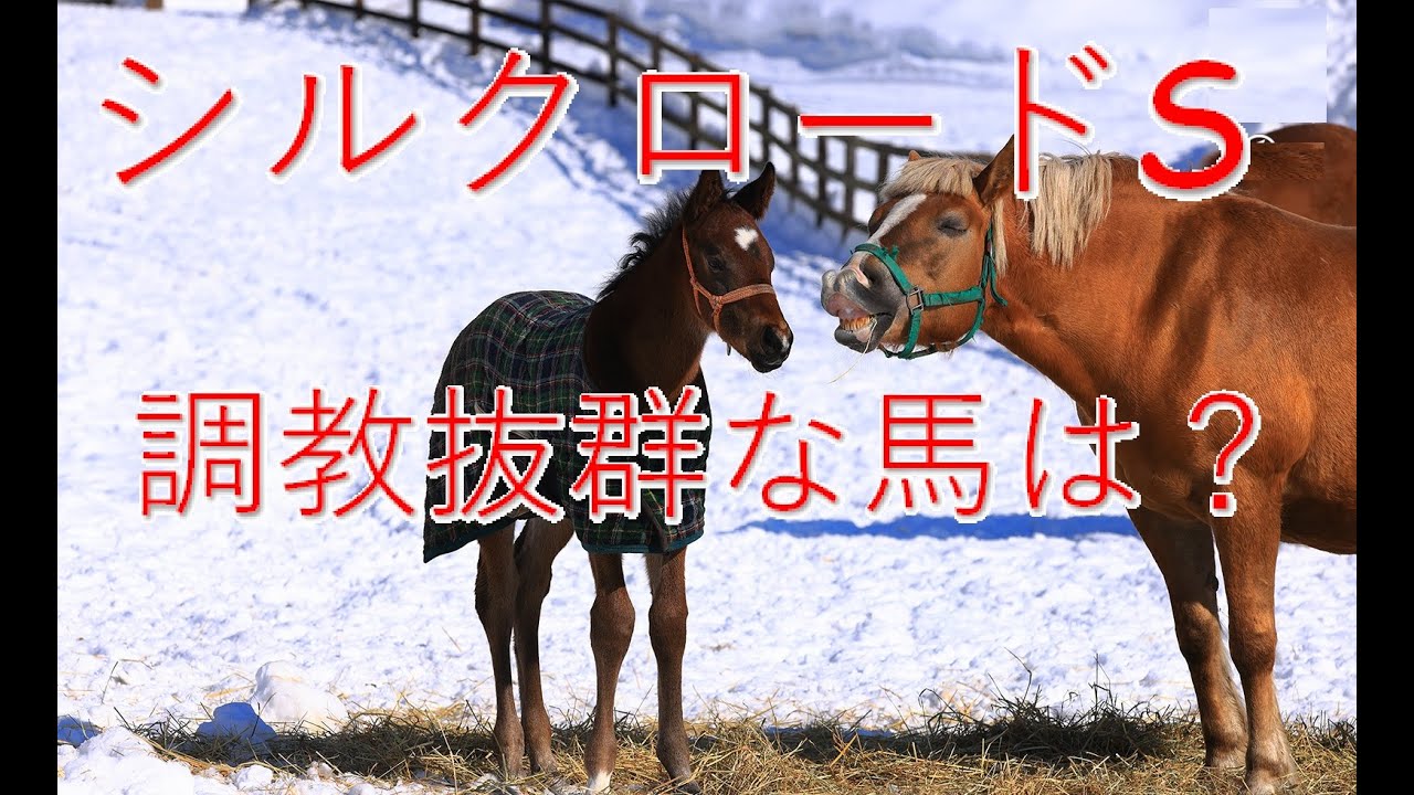 シルクロードステークス予想｜高松宮記念前哨戦【2024年1月28日京都競馬場】