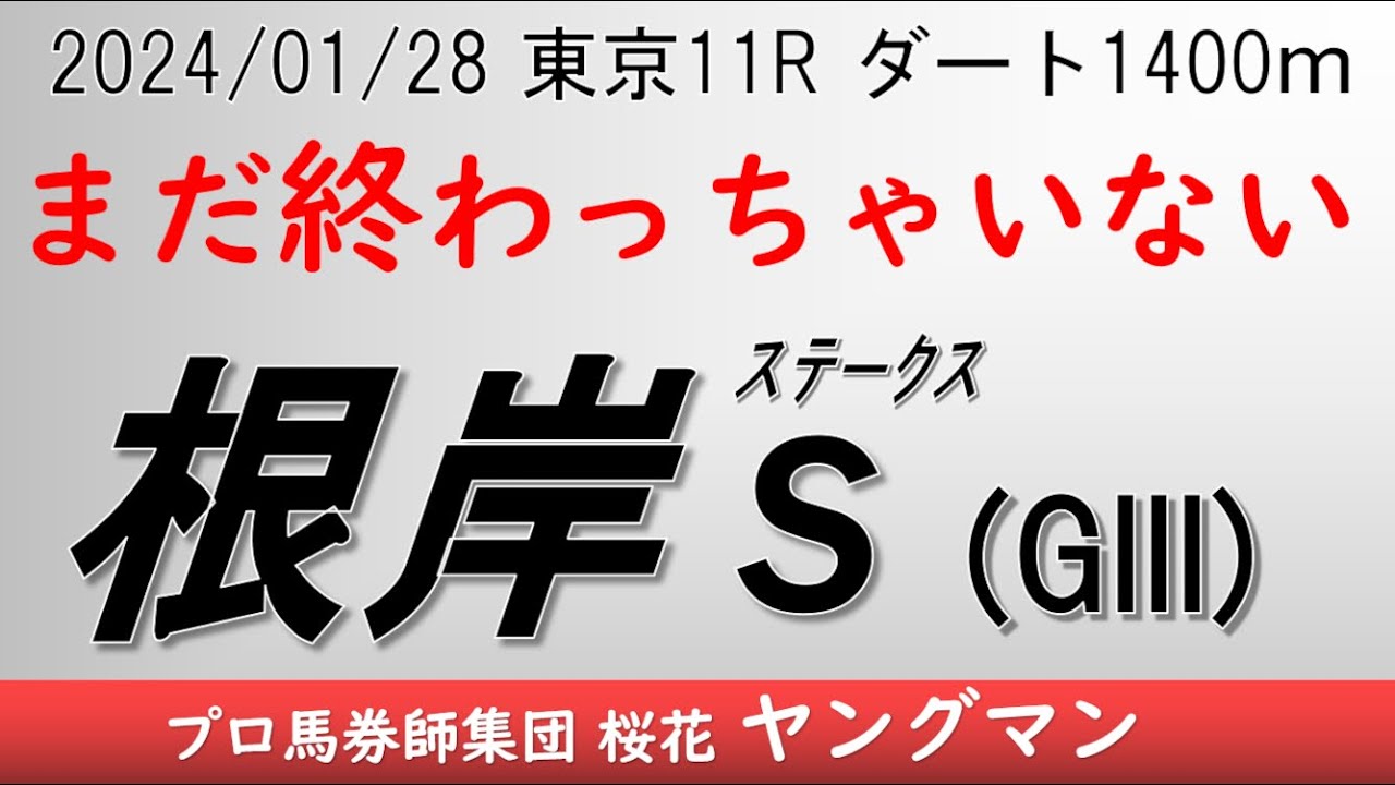 【根岸ステークス2024】ヤングマン氏のレース予想！フェブラリーステークスの前哨戦というべきこのレースだが今年は混戦模様！！上がり馬もいるが勝つのはどの馬か？