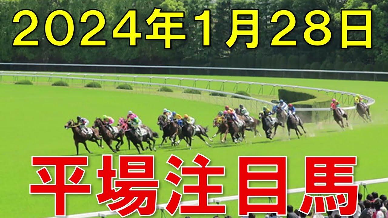 明日のJRA競馬 予想 平場 注目馬【2024年1月28日】