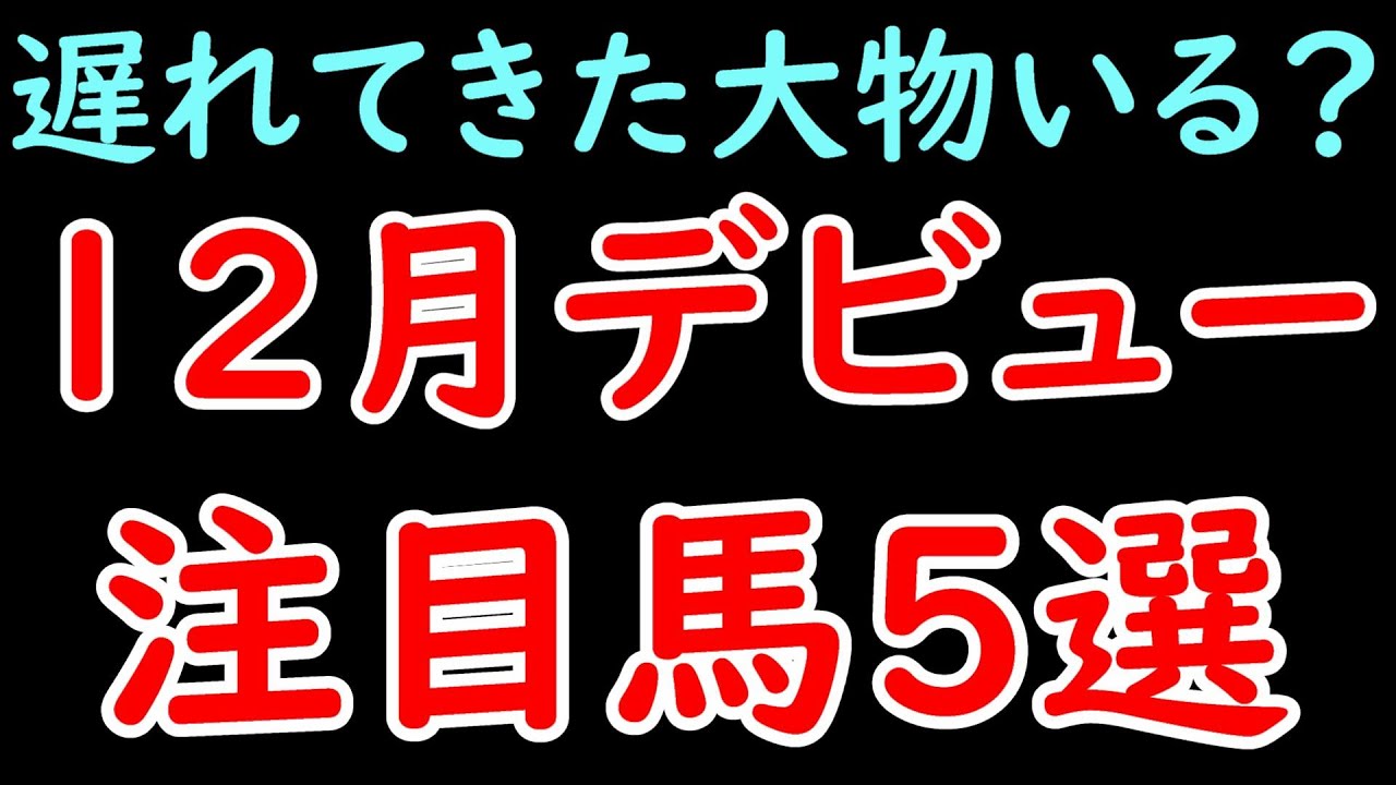 12月にデビューした注目馬5選 ミラビリスマジック・ニュージーズ・ビザンチンドリームなど注目馬多数！遅れてきた大物はいるか！？