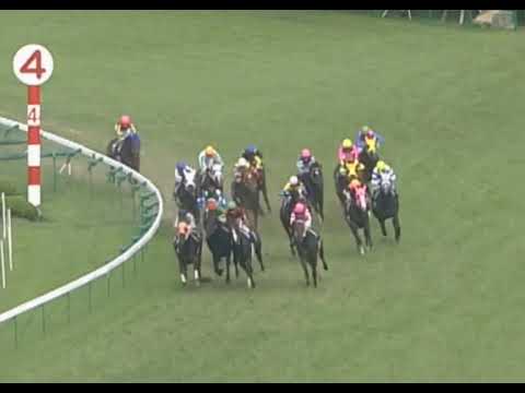 ヒシミラクル 2003年 第44回宝塚記念(GI) (優勝馬：ヒシミラクル)(実況：ラジオたんぱ)