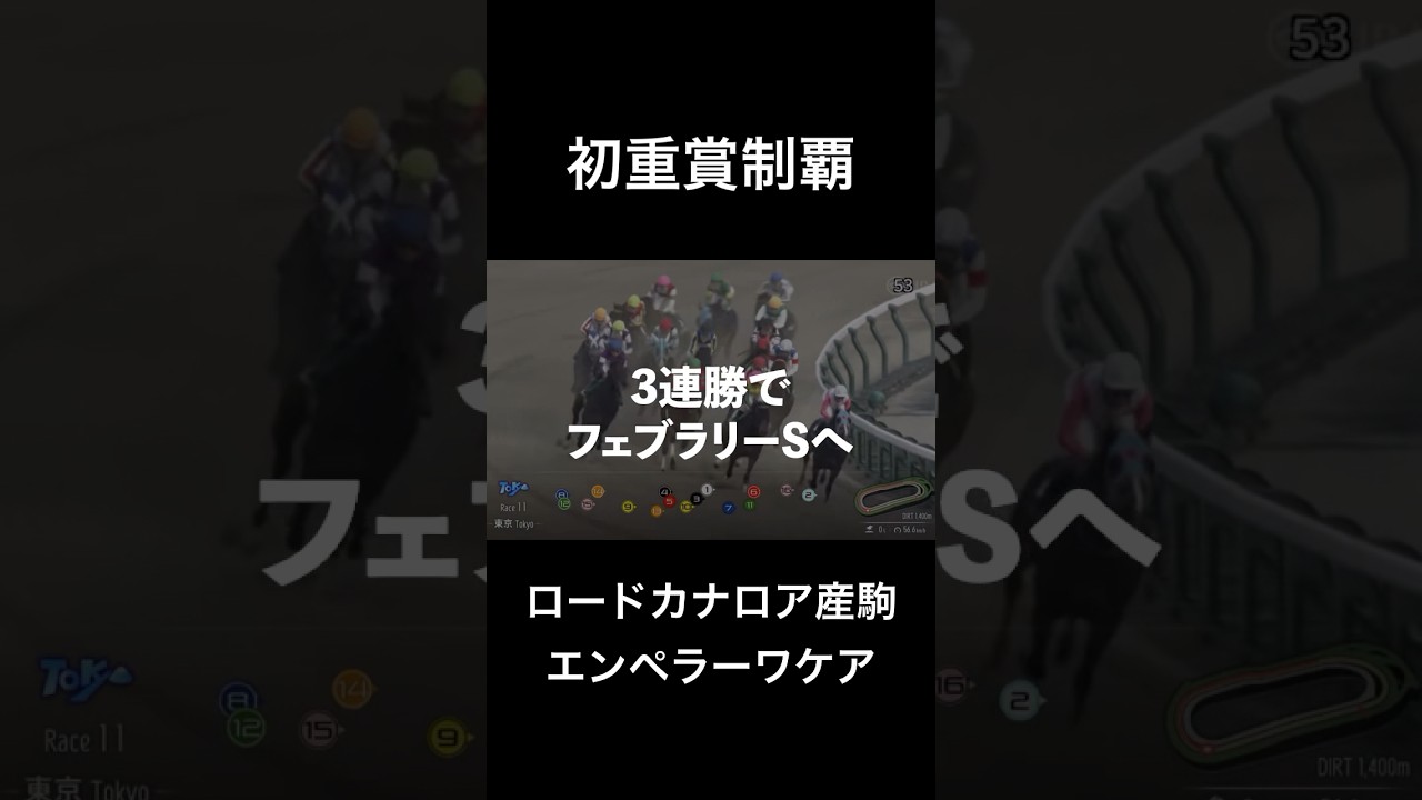 【エンペラーワケア】3連勝かつ初重賞制覇でフェブラリーステークスへ!#競馬 #sports #フェブラリーステークス #川田将雅